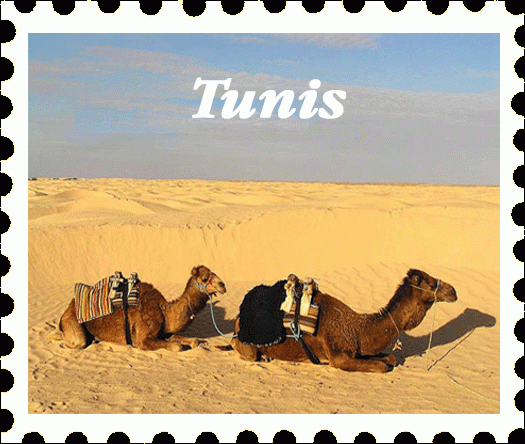 tunis.gif, 107 KB